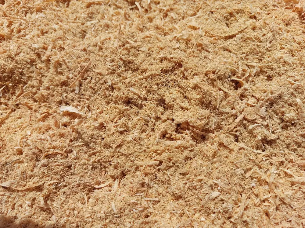 Piljevina